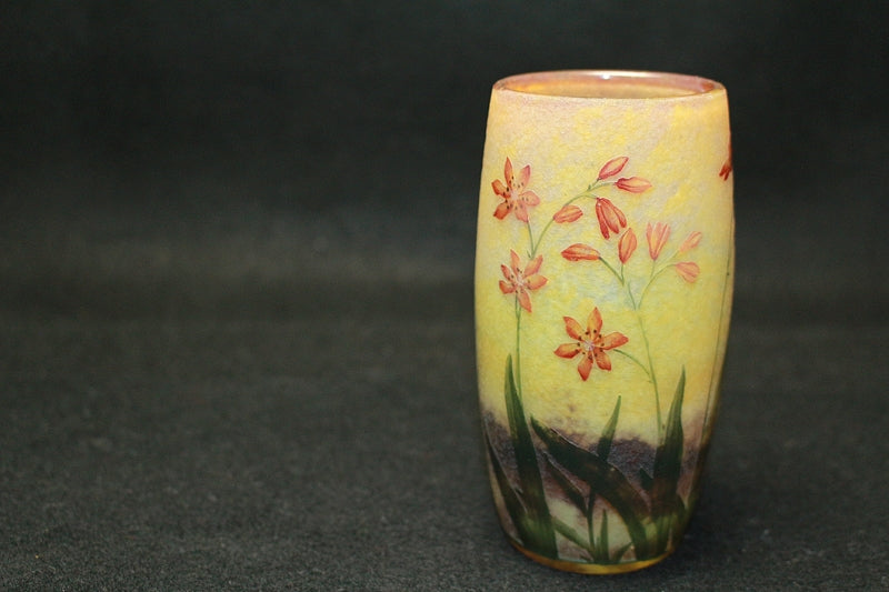 23522 ドームナンシー (クロコスミア文グラス)