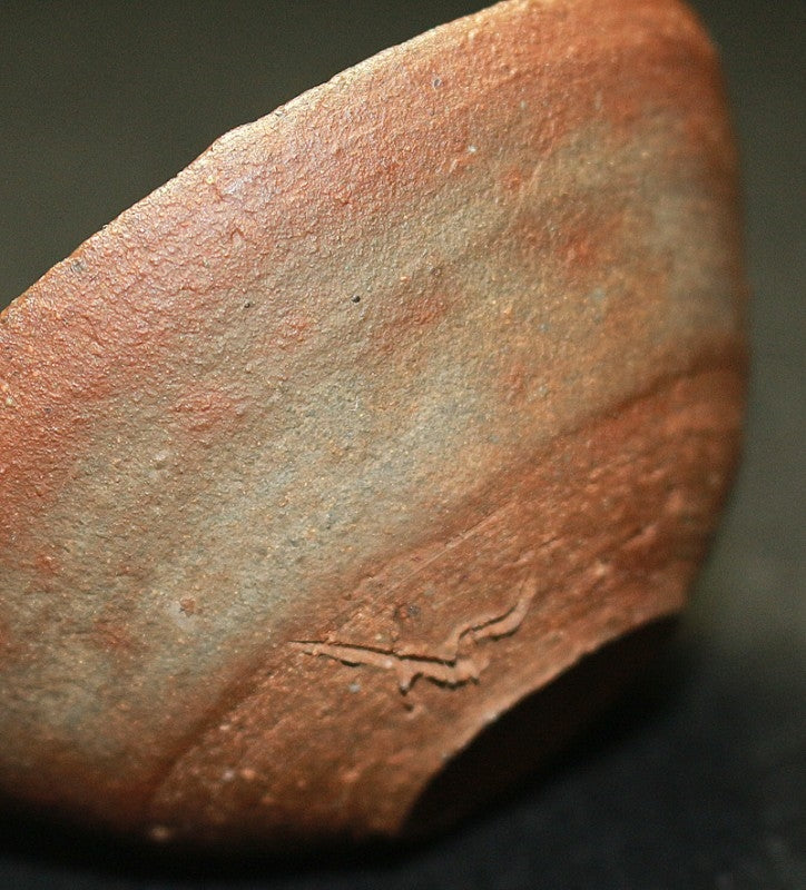 22525 KOYAMA 不二雄 (小山子) (花木杯) KOYAMA 不二雄