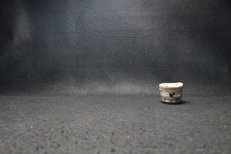 22658 KOYAMA Fujio (Furuyamako) (Sake)