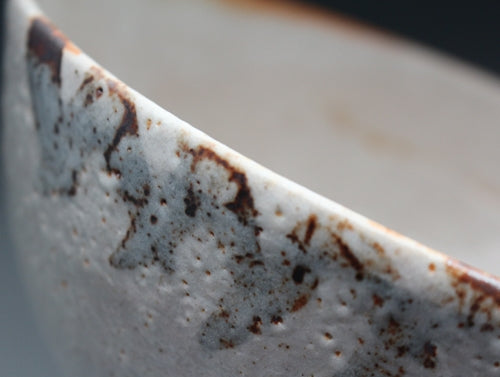 21304 Kitaoji Rosanjin (Shino pot)