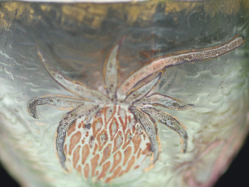 21604 Emile Gallé(花卉图案玻璃(19 世纪)),配套盒 Charles Martin mi