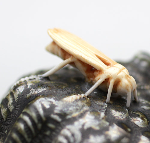 21786 现代柿右卫门复兴创始人第12代坂井田柿右卫门(蜂窝形香)坂井田柿右卫门