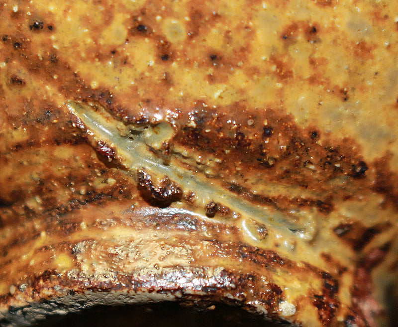 22804 HOSOKAWA Morihiro (Five types of sake cups)