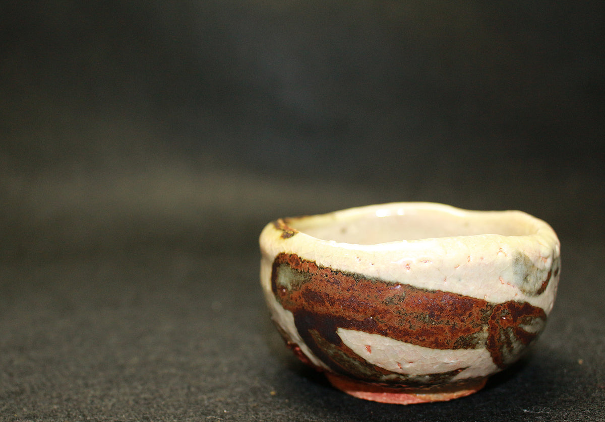 26237 高内秀剛 鉄絵ぐい呑① TAKAUCHI Syugo