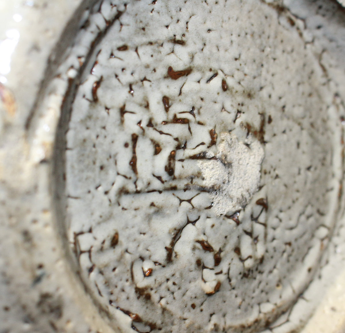 25825 Hidetake Takauchi (Camellia design earthenware teapot)