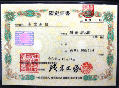 22553 Kato Tokuro (Shino tea (one-mu mark) (Tobi appraisal certificate included))