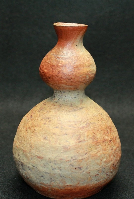 25019 KAWABATA Fumio (Bizen Natural Kneaded Sake Bottle ①) 