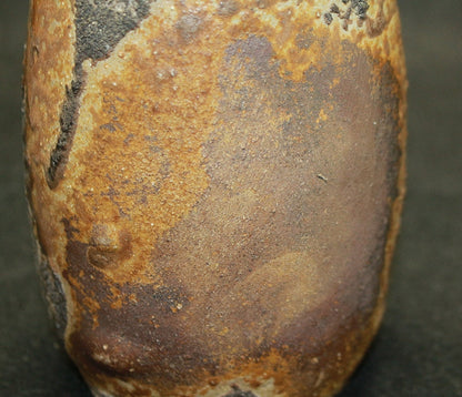 24613 HARADA Shuroku (Bizen Sake bottle) 