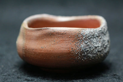 25419 Nakamura Rokuro (Bizen sake cup) 