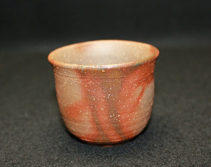 22289 Great Artist Kitaoji Rosanjin (Bizen Sake no Mi [Yusai Box])