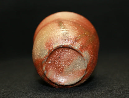 22289 Great Artist Kitaoji Rosanjin (Bizen Sake no Mi [Yusai Box])