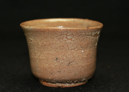 22913 HOSAKOWA Morihiro (Karatsu sake cup) 