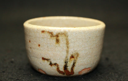 25487 Rosanjin Kitaoji (Illustrated Seto Hayafern Design Sake Cup (Kuroda Satoshi)①) 