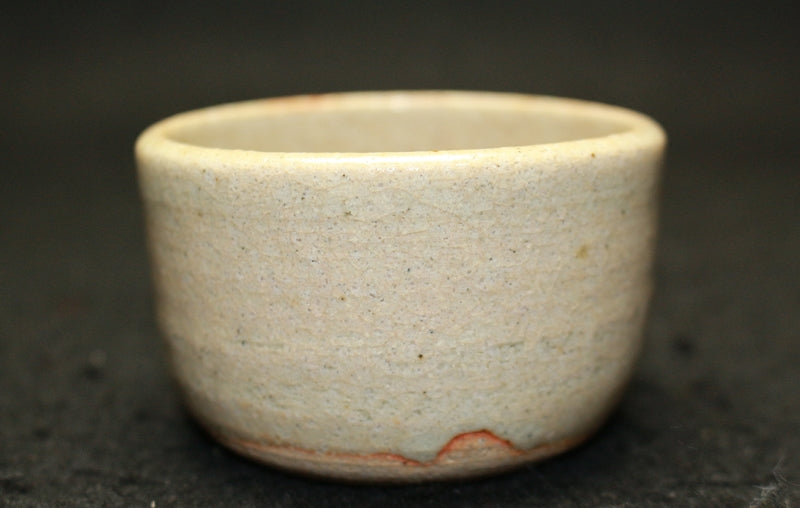 25487 Rosanjin Kitaoji (Illustrated Seto Hayafern Design Sake Cup (Kuroda Satoshi)①) 