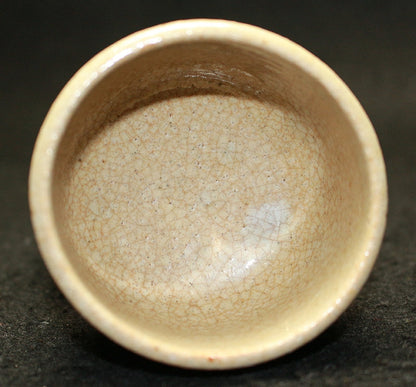 25487 Rosanjin Kitaoji (Illustrated Seto Hayafern Design Sake Cup (Kuroda Satoshi)①) 