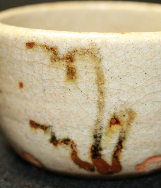 25487 Rosanjin Kitaoji (Illustrated Seto Hayafern Design Sake Cup (Kuroda Satoshi)①) 