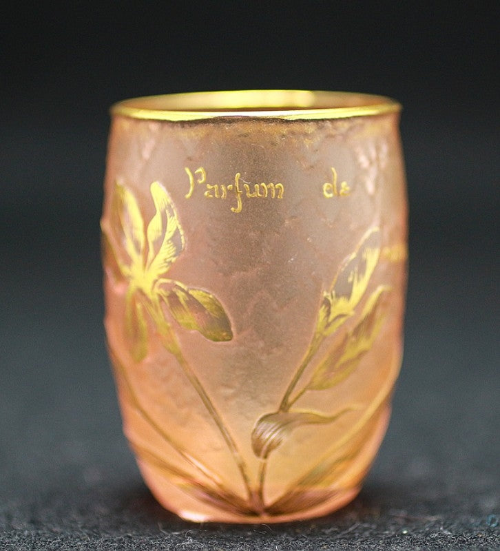 22917 圆顶南希 (Iris parfum de vertus) 