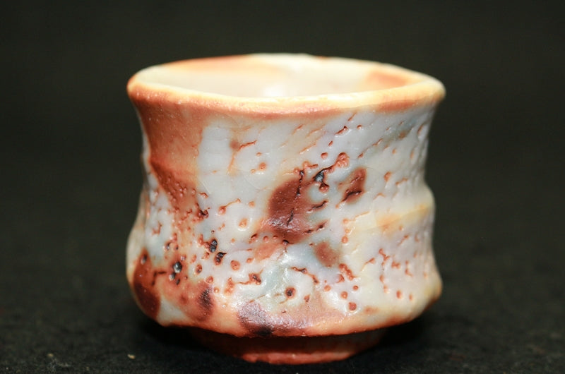 25469 HAYASHI Shotaro (Eshino sake cup) 