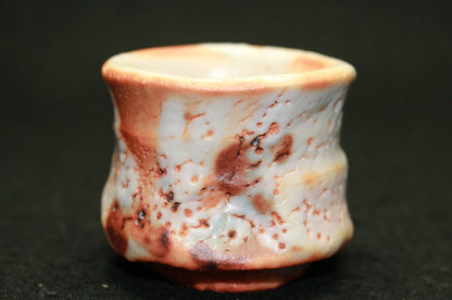 25469 HAYASHI Shotaro (Eshino sake cup) 