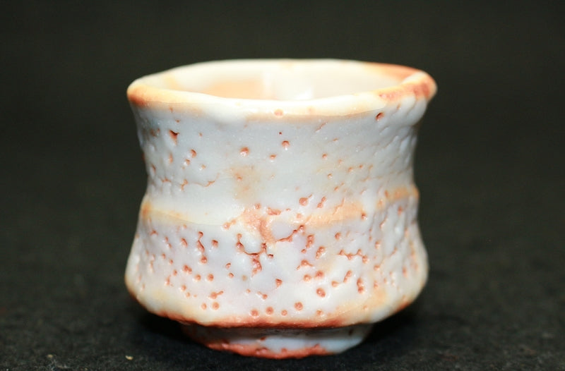 25469 HAYASHI Shotaro (Eshino sake cup) 