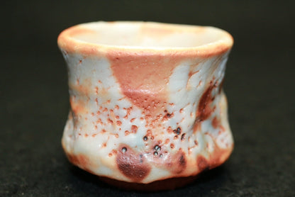 25469 HAYASHI Shotaro (Eshino sake cup) 