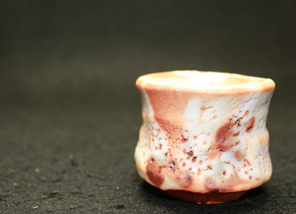 25469 HAYASHI Shotaro (Eshino sake cup) 