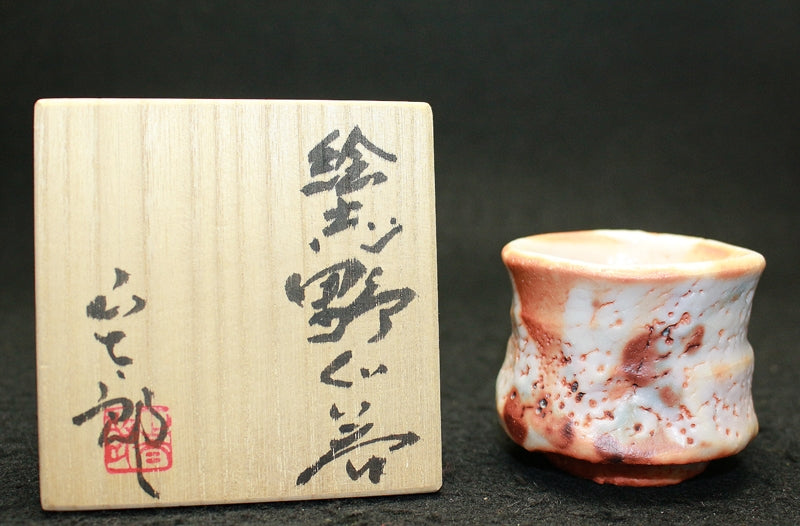 25469 HAYASHI Shotaro (Eshino sake cup) 