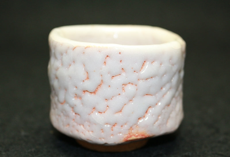 25474 Nakajima Kazuaki (Shino sake cup①) 