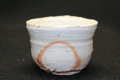 24703 YAMADA Kazu (Iga sake cup) 