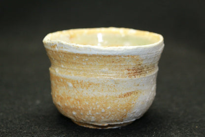 24703 YAMADA Kazu (Iga sake cup) 