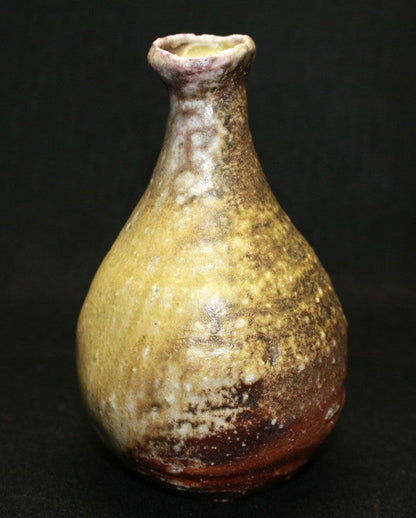 22992 HOSAKOWA Morihiro (Shigaraki sake bottle) 