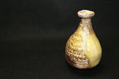 22992 HOSAKOWA Morihiro (Shigaraki sake bottle) 