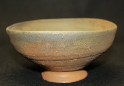 25589 KOYAMA Fujio (Hana no Ki tea bowl (Shinichishiki)) 