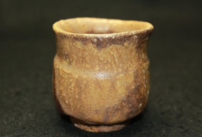 25584 Living National Treasure Jun Isezaki (Bizen sake cup) ISEZAKI Jun