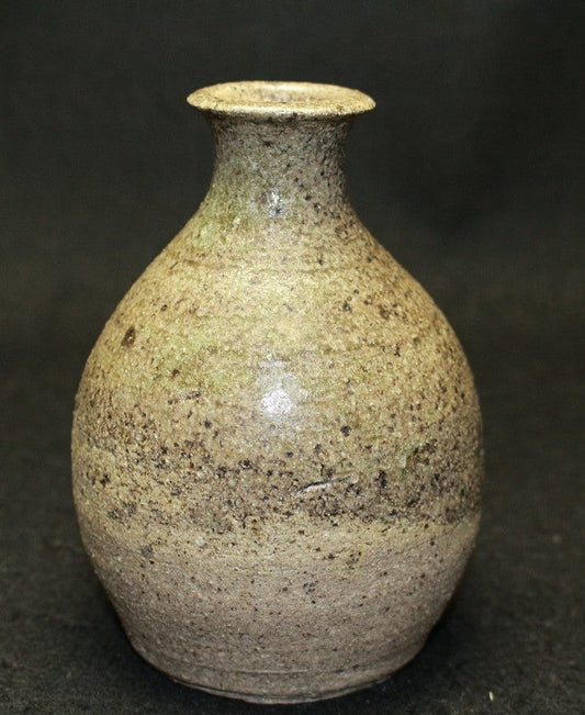 25594 KAMODA Shoji (sake bottle)