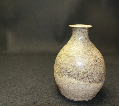 25594 KAMODA Shoji (sake bottle)