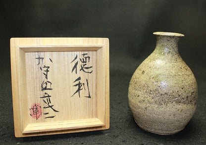 25594 KAMODA Shoji (sake bottle)