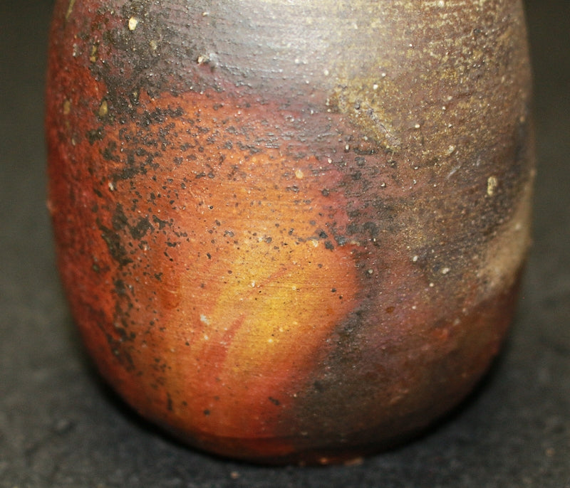 25585 Living National Treasure Jun Isezaki (Bizen Sake Bottle) ISEZAKI Jun