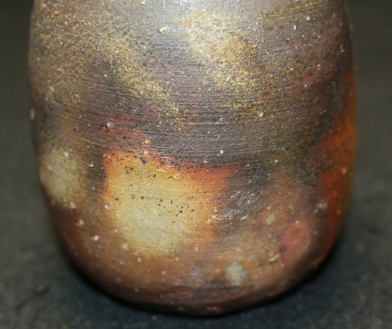 25585 Living National Treasure Jun Isezaki (Bizen Sake Bottle) ISEZAKI Jun