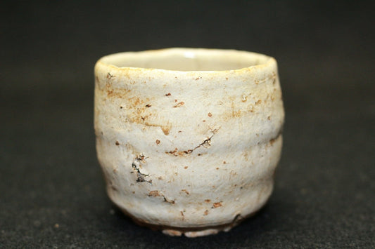 25151 UCHIDA Koichi (colorful sake cup) 