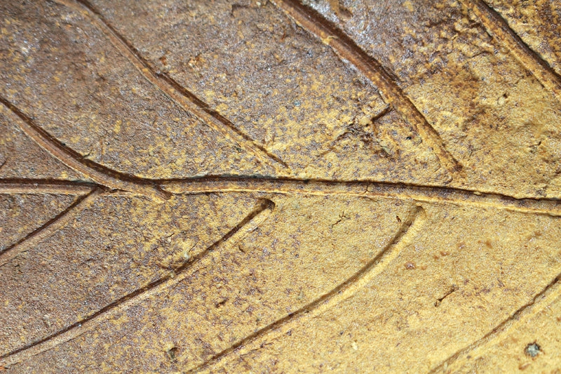 23108 Kitaoji Rosanjin (Bizen ash-covered leaf-shaped plate (Kuroda Toyoan signature) 