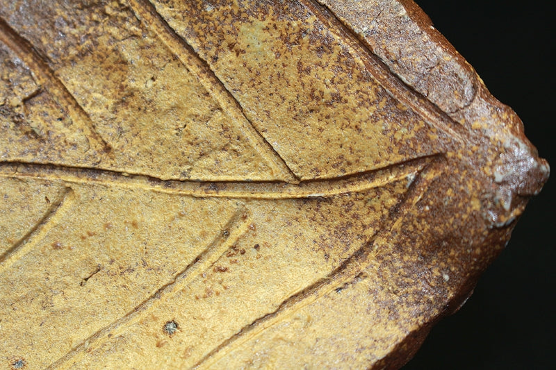 23108 Kitaoji Rosanjin (Bizen ash-covered leaf-shaped plate (Kuroda Toyoan signature) 