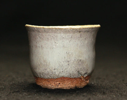 22433 HOSAKOWA Morihiro (Karatsu sake cup) 