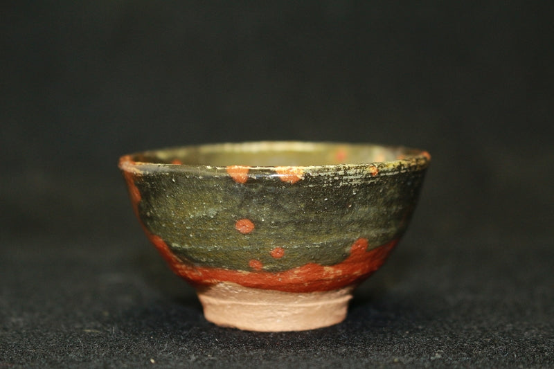 23720 RAKU Tannyu (10th Generation) 