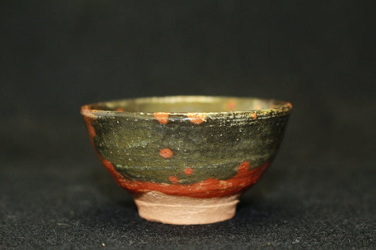 23720 RAKU Tannyu (10th Generation) 