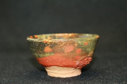 23720 RAKU Tannyu (10th Generation) 