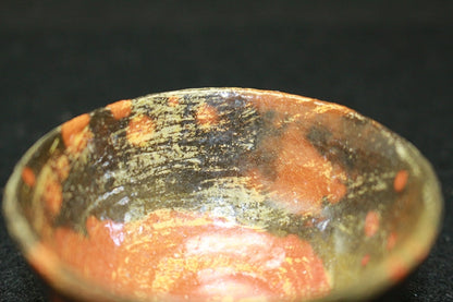 23720 RAKU Tannyu (10th Generation) 