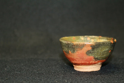 23720 RAKU Tannyu (10th Generation) 