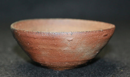 22525 KOYAMA Fujio (Koyamako) (Hana no Ki Sake Cup) 