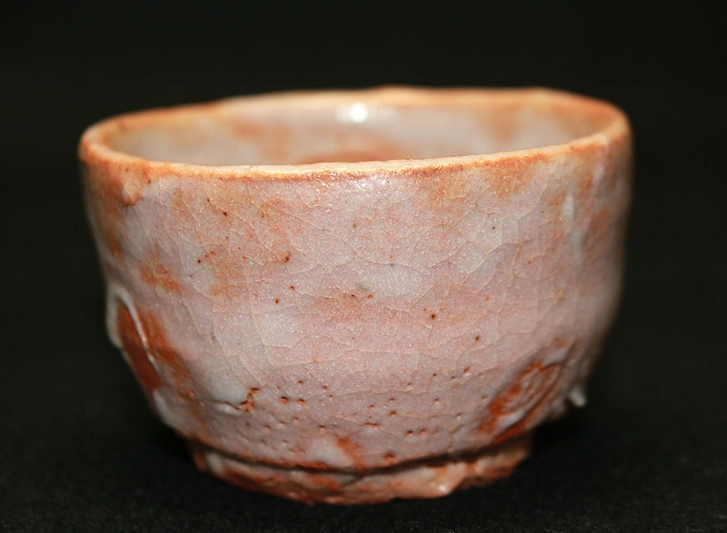 23218 ARAKAWA Toyozo (Shino sake cup) 